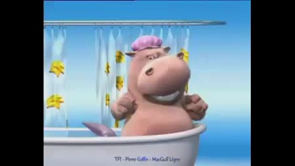 Hippo and Dog in the Bathtub (shark attack )