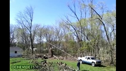 Лесно ли се отсича дърво