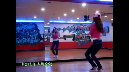 Snsd - Oh! ( Dance Tutorial ) Part 1