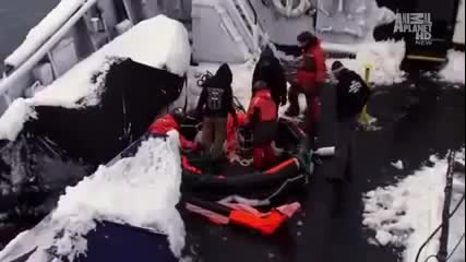 Whale Wars season 4 - Race To Save Life Part 3_(360p)-6