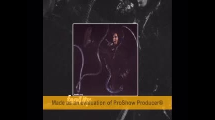 Kaulitz Twins - They ate my heart