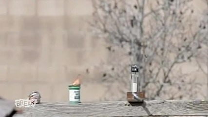 World's Most Epic Fly