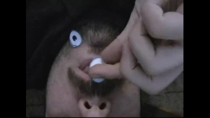 Lуд смях 