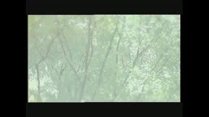 Underworld - Everything Everything (live) - Jumbo