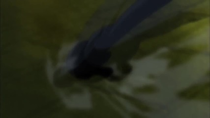 Kick Him Amv