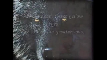 Gheorghe Zamfir - Time to say goodbye