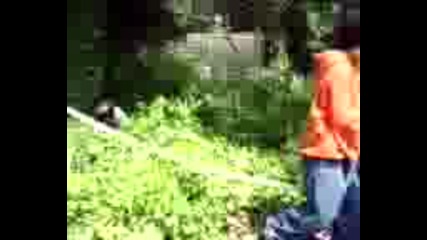 Accident - Tricyle