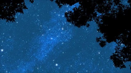 Starlight Marika Takeuchi