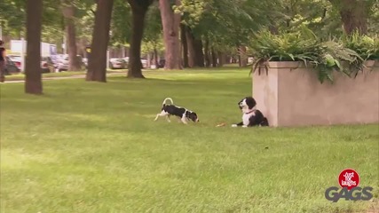 Смешна Скрита Камера
