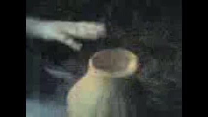 Tja. - 0029.3gp