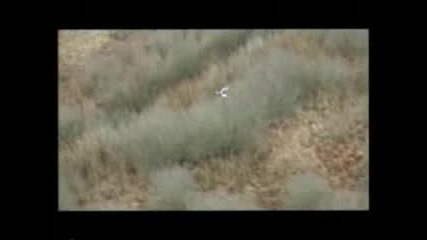 На Лов във Чернобил 
