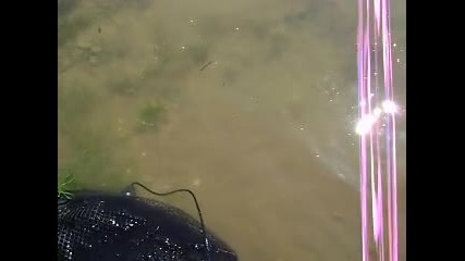 Mov02492 