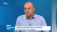 Зачестяват ли случаите на насилие над животни