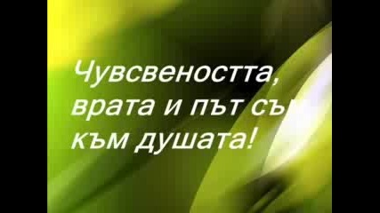 яка песничка!!!!