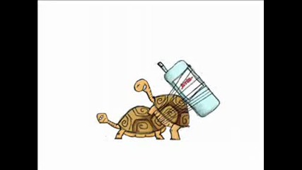 Funny Turtle Sex Cartoon