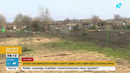 Бебета антилопи, кенгура и маймунки раздват посетителите на зоопарка в Бургас