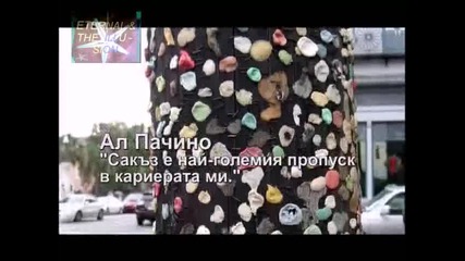 ! Шмъркан отвръща на удара, Пълна лудница, 12.12.2009 