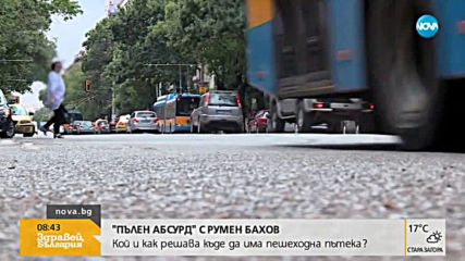 "Пълен абсурд": Кой и как решава къде да има пешеходни пътеки в София?