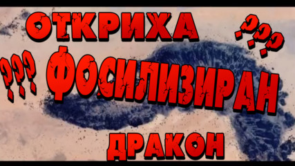 Фосилизиран дракон открит от Google Earth в пустинята на Мавритания?