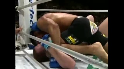 Fedor Emelianenko Brutal