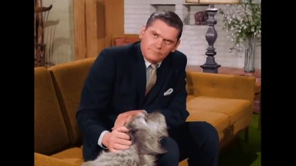 Bewitched S2e34 - Man's Best Friend