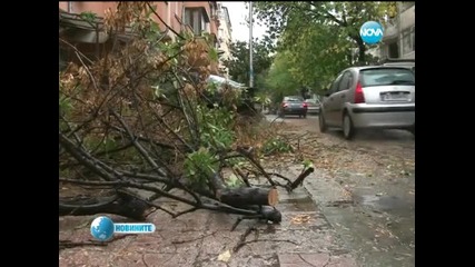 Морска буря опустоши плажа в Златни пясъци