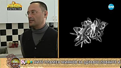 Д-р Папазова - Кампания за заместителите на захарта - На кафе (26.02.2018)