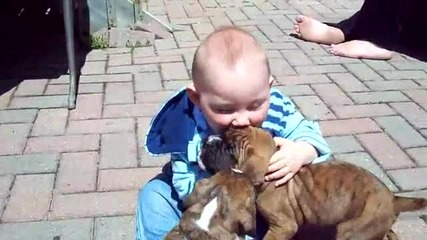 Сладки кученца си играят с бебе 