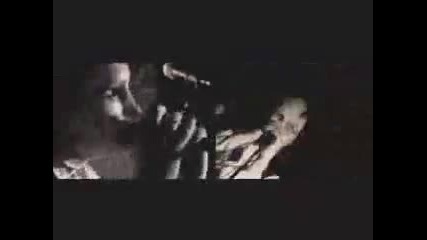 Los Los - Vamos A La Playa 