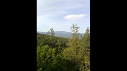 aliosha - dva galeba bela and photos of forest of Rakitovo