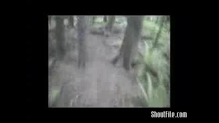 Downhill Fun