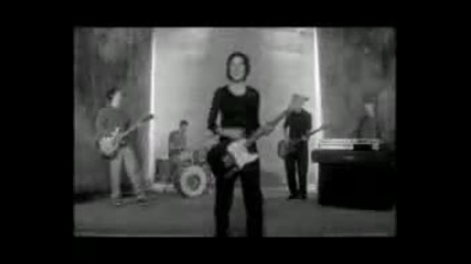 Black Eyed Boy - Texas