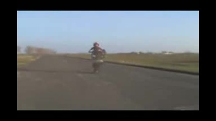 motori