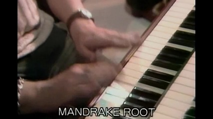 Deep Purple - Mandrake Root (1970)