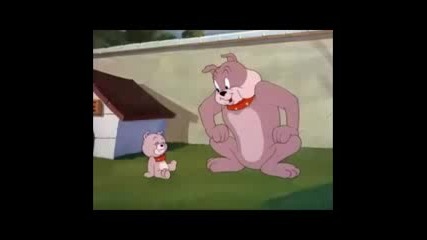 Tom Jerry - Apd faszt pardia 21