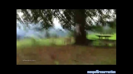 Los mejores videos de risa 2012