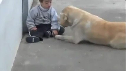 Колко трогателно - Обич между дете болно от синдрома на даун и куче!