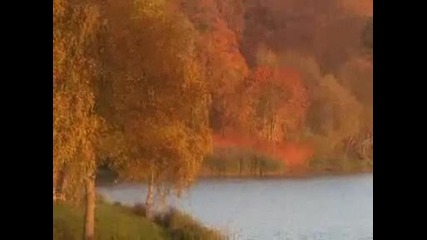 Есента на мама - Тони Димитрова 