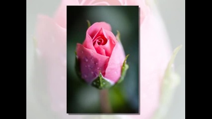 Giovanni Marradi - For You Matthew