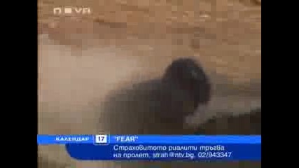 Страх 2009
