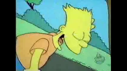 The Simpson - Skateboarding 