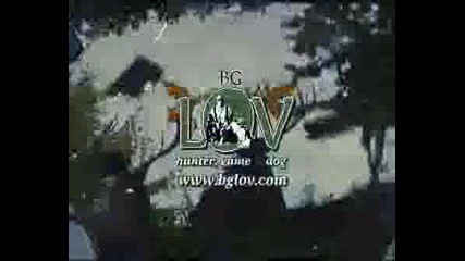 Bglov.wmv