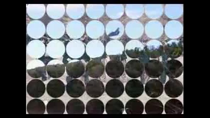 Мистериозни създания - 4 част