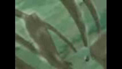 Kyubi rasengan