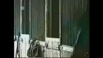 Опитайте се да не се смеете
