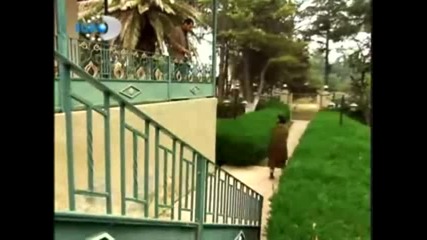 Избрани моменти от Аси - 6 еп.1ч.