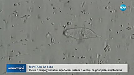Здравното министерство - на съд заради неизпълнено обещание