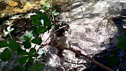 sofi oqropiridze - ushenoba yvelaferze znelia (dabrundebi).