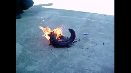 Огромна змия фойерверка
