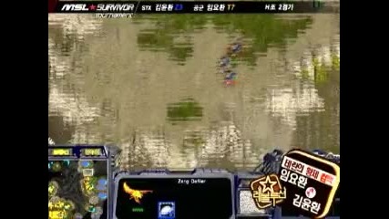 Slayers_boxer`s Marines kills Hatchery